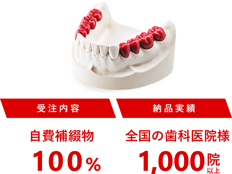 株式会社LAZARUS（ラザロ）は自費補綴物の受注が100%、全国の歯科医院1000院以上とお取引をさせていただいている歯科技工所です。